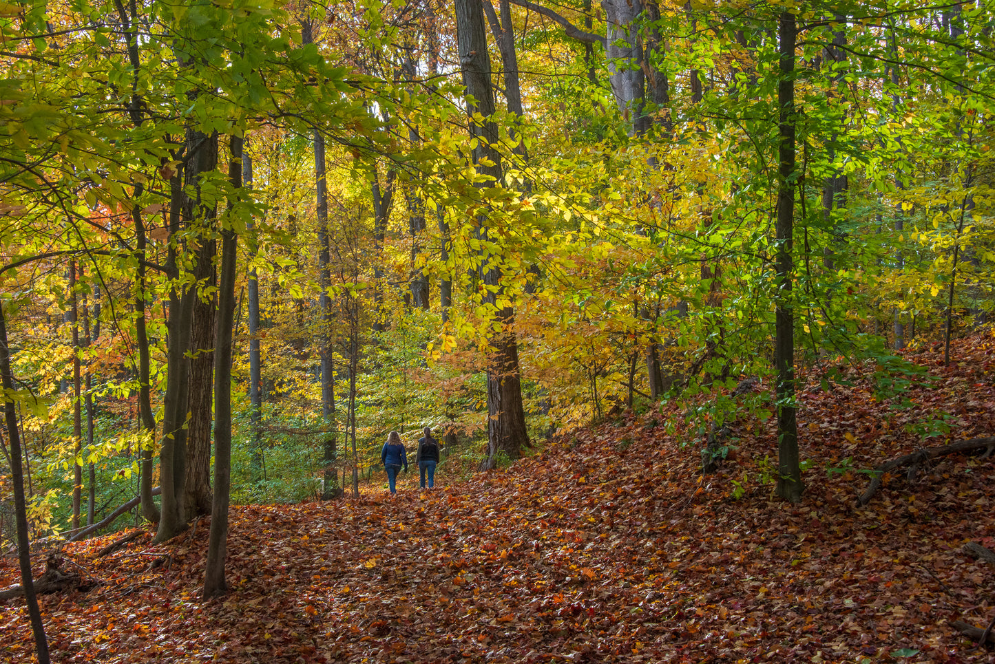 Friends 'Til the End