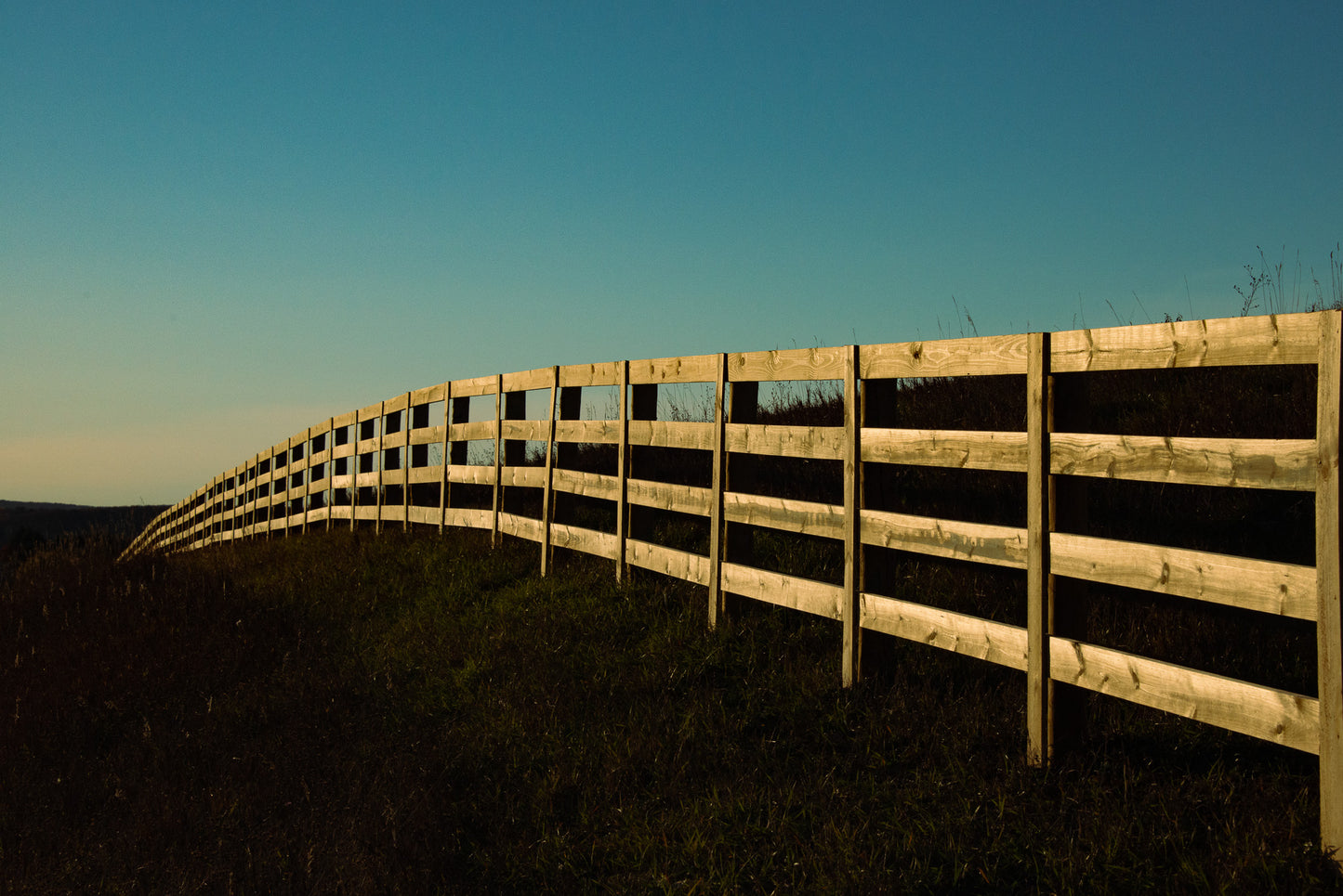 Fence Line