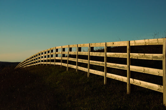 Fence Line