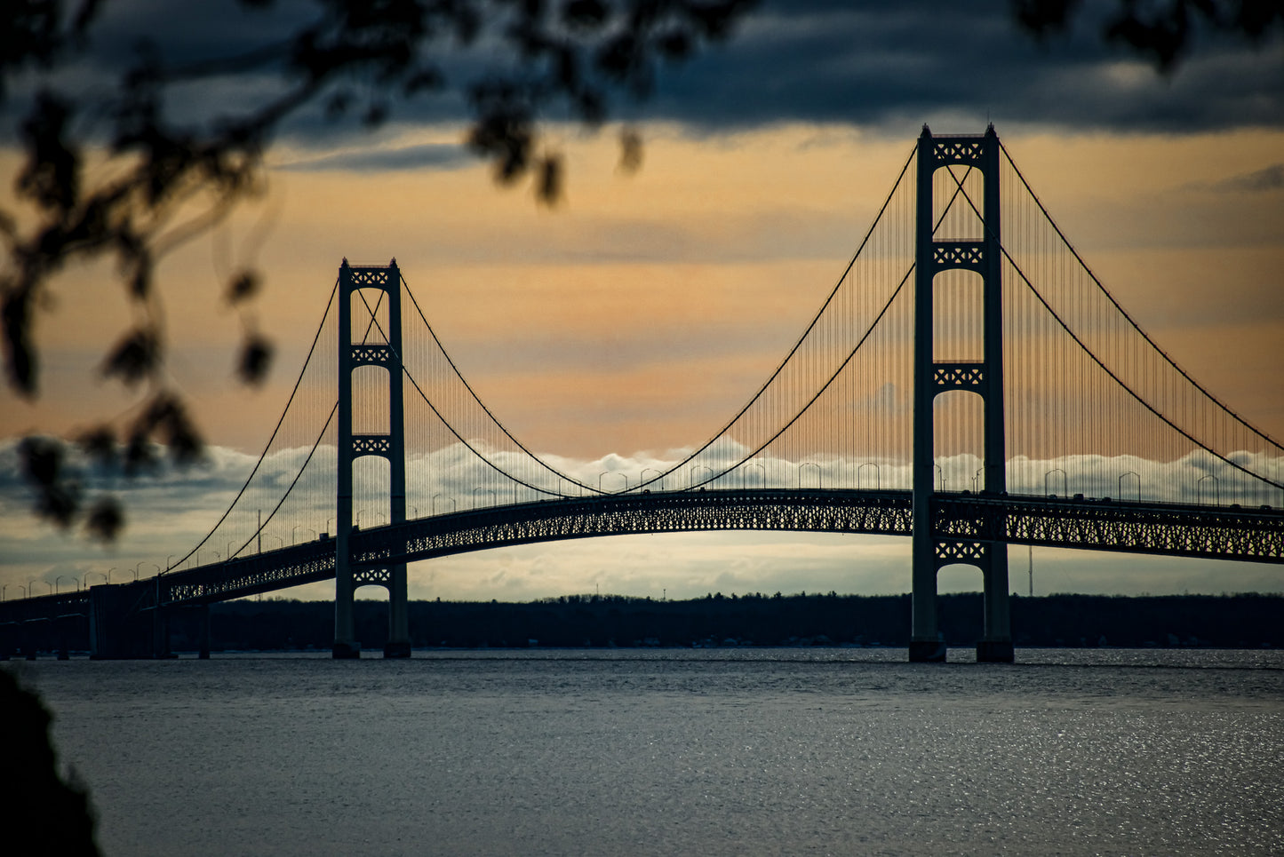 The Pride of Michigan