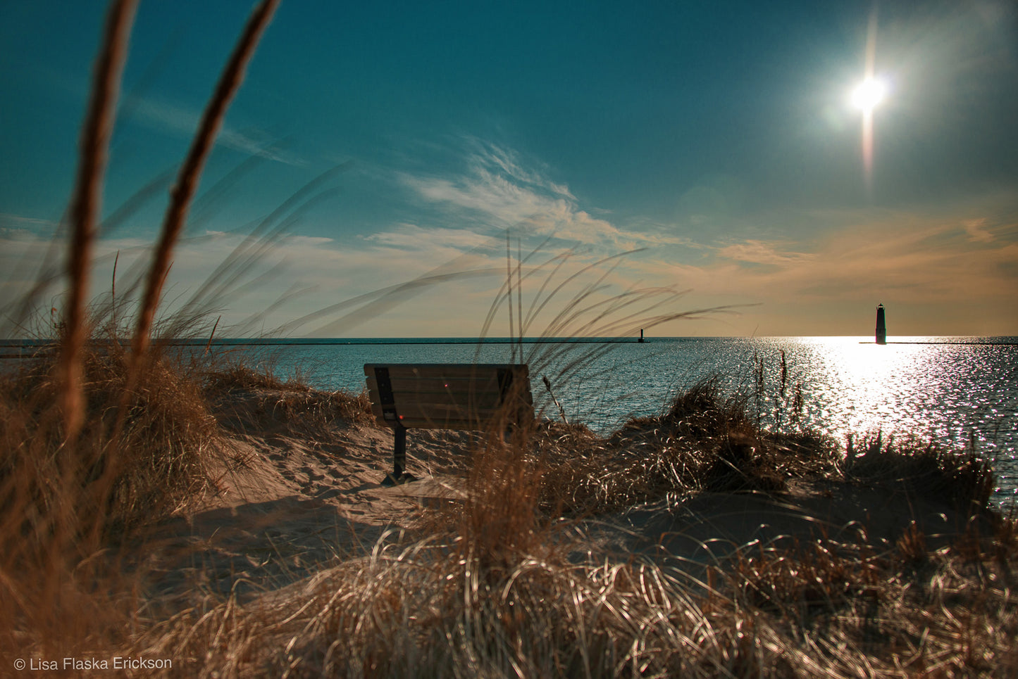 Frankfort Harbor Bench
