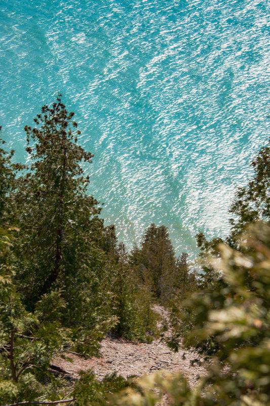 The Dune, it's Trees and Lake Michigan