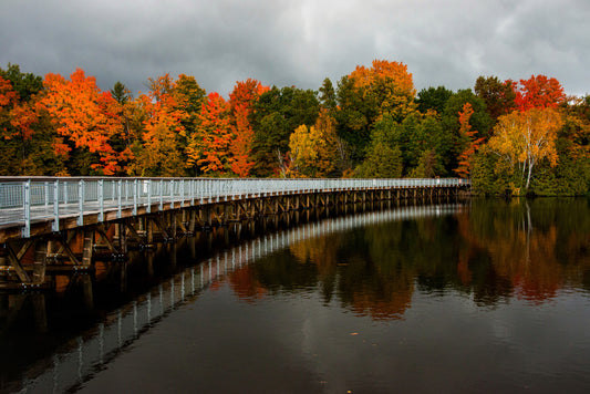 The Moody Moments of Fall