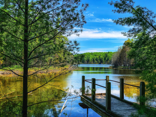 The Fishing Dock